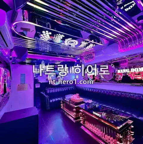 나트랑 킹덤 가라오케 VIP룸 2 — nt-hero1.com